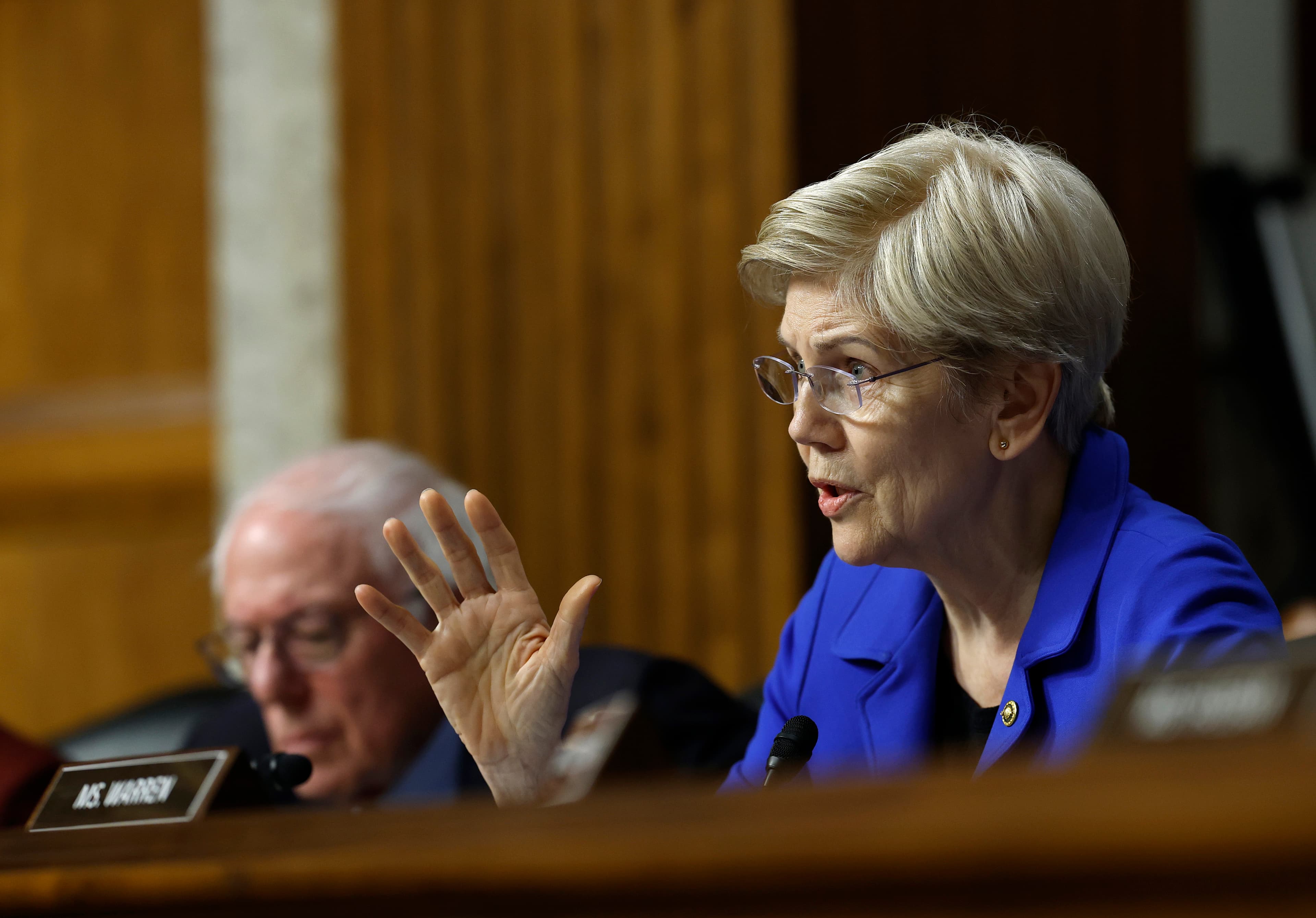 Elizabeth Warren And Other Democratic Lawmakers Warn Of Antitrust Issues With Fox-Roku Merger cover image