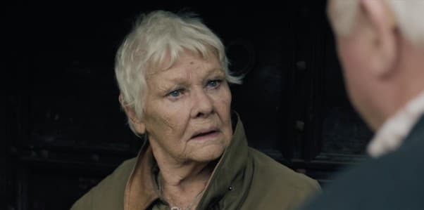 Renée Zellweger, Michael Keaton & Judi Dench Projects Make 2026 HollyShorts Lineup cover image