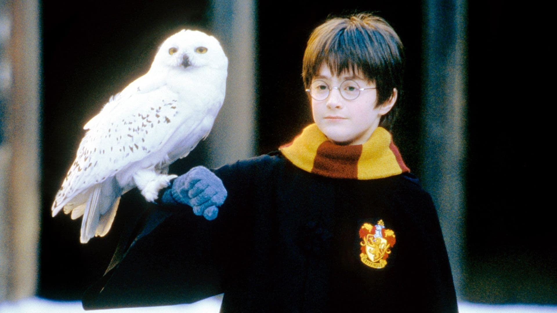 Harry Potter Confirms New Release 2 Months Ahead of Reboot movies cover image
