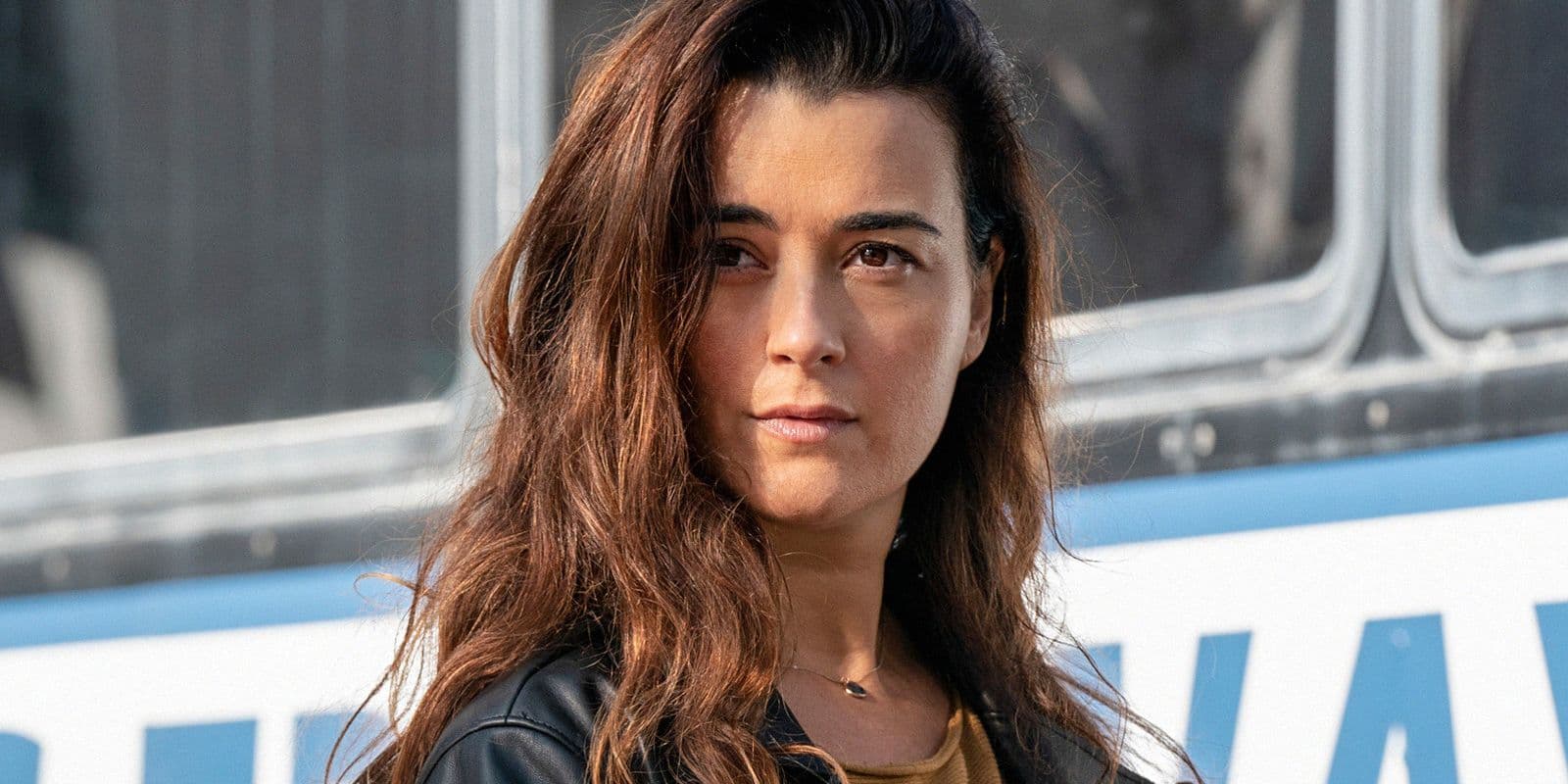 NCIS Season 24 Finally Opens the Door for Ziva's Return After 7 Years series cover image
