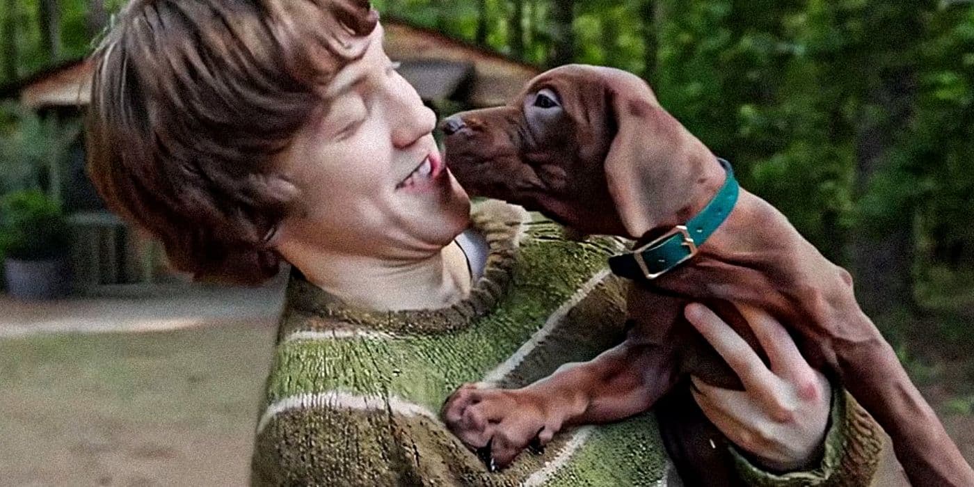 'Not My Scooby': Netflix Sparks Backlash With Scooby-Doo Reboot Puppy Series News Breakdown cover image