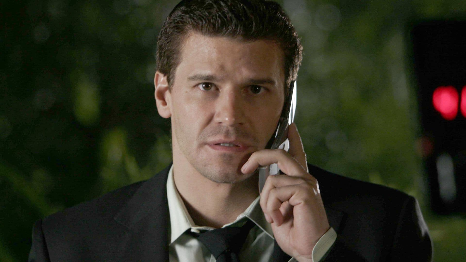 David Boreanaz's 100% RT Crime Thriller Show Is Still Better Than Anything on Streaming cover image