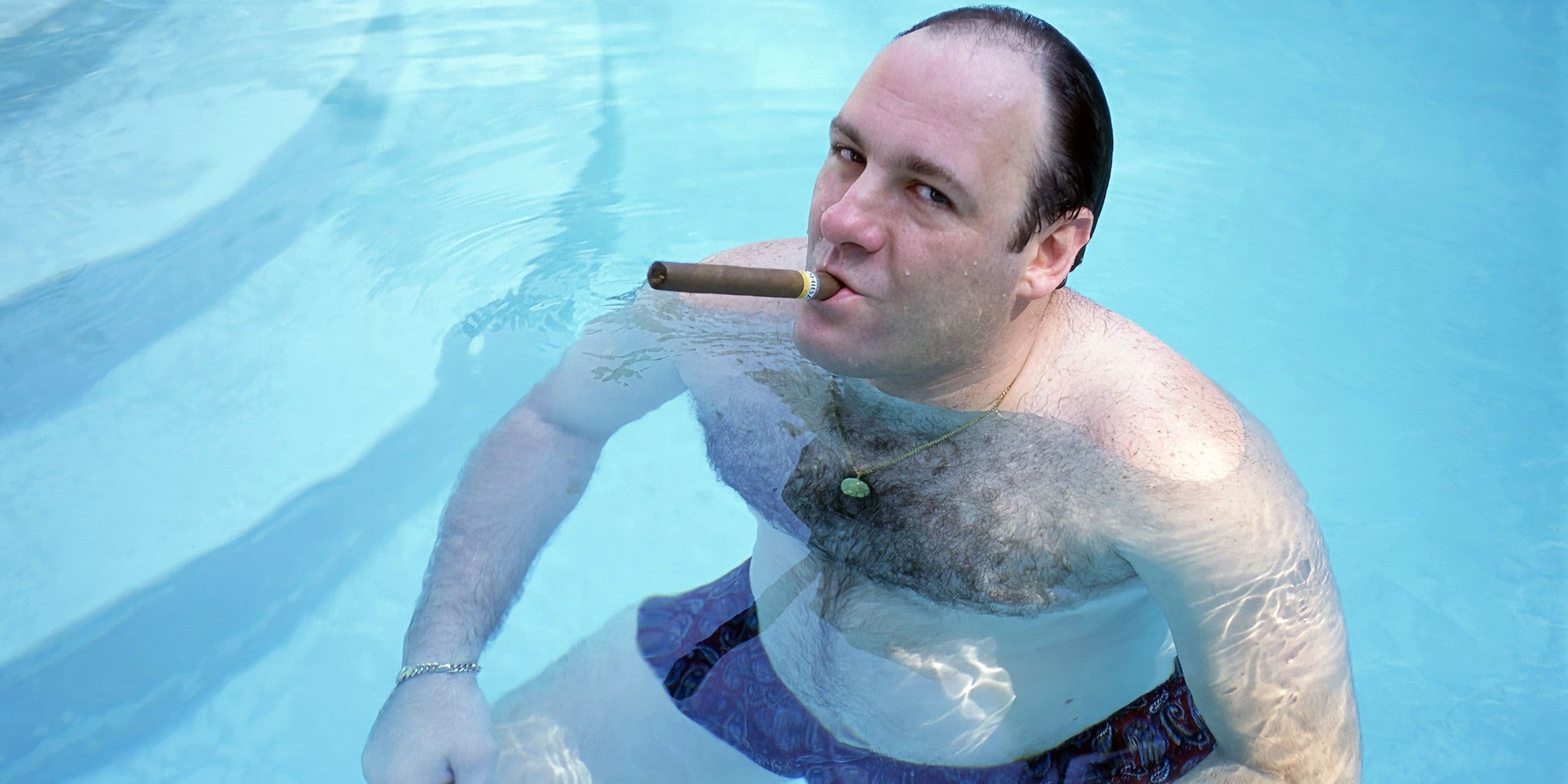The Sopranos Creator Wishes the HBO Crime Drama Was Less Sexy cover image