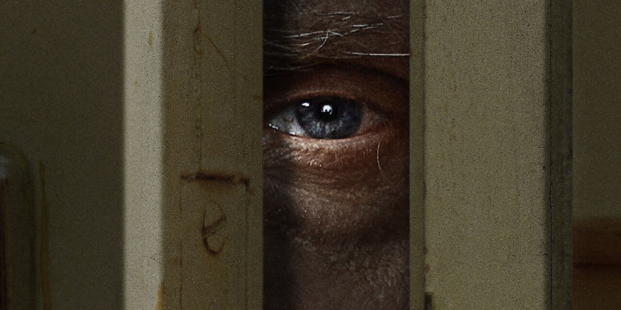 Netflix Quietly Created the Most Bingeable True Crime Franchise on Streaming cover image