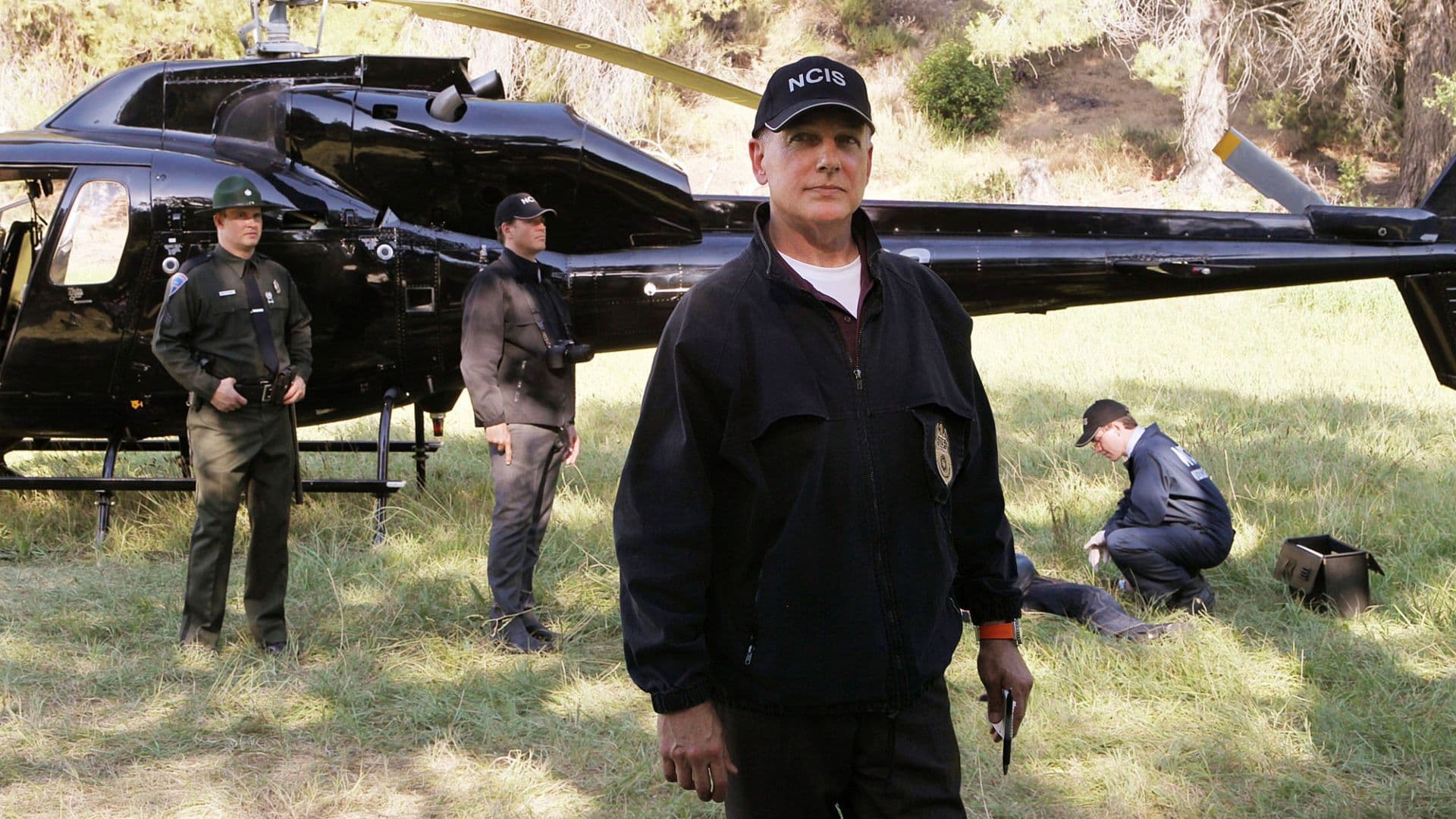 10 TV Procedural Crime Thrillers Better Than 'NCIS' cover image