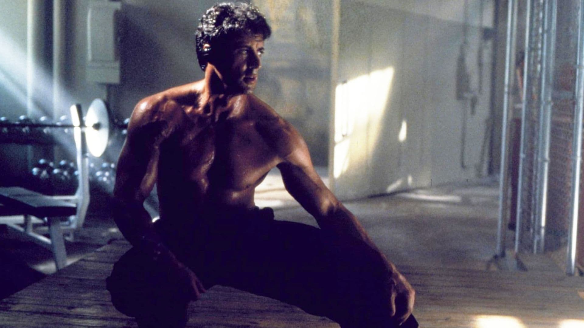 Sylvester Stallone's Forgotten 110-Minute Action Thriller Returns To Streaming cover image