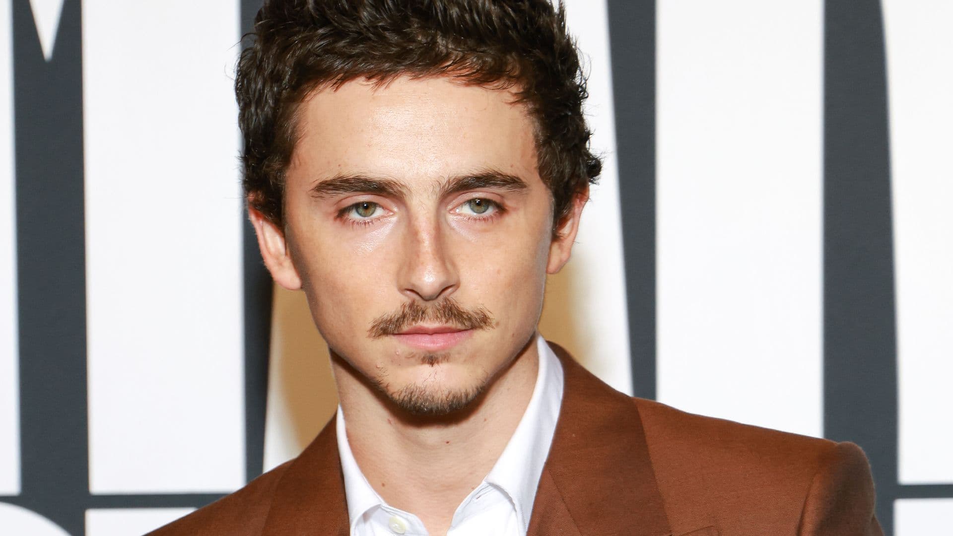 Timothée Chalamet's Most Underrated Movie Is Now On Netflix movies breakdown cover image