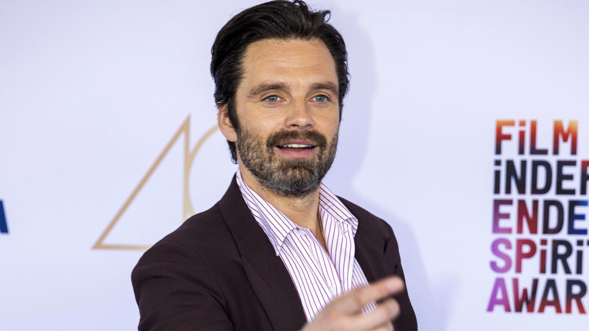 Sebastian Stan's 10 Best Movie Roles That Aren't Bucky Barnes movies breakdown cover image