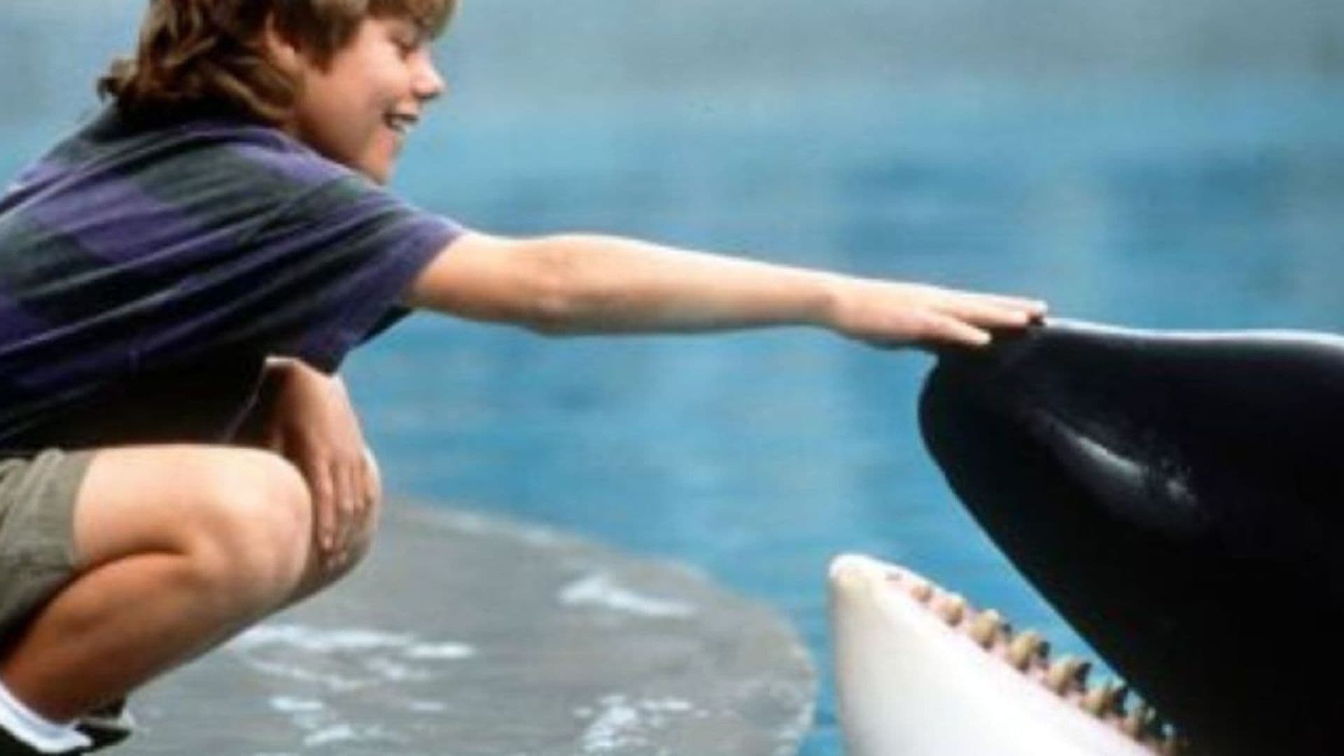 10 Live-Action '90s Family Movies That Still Hold Up Today cover image