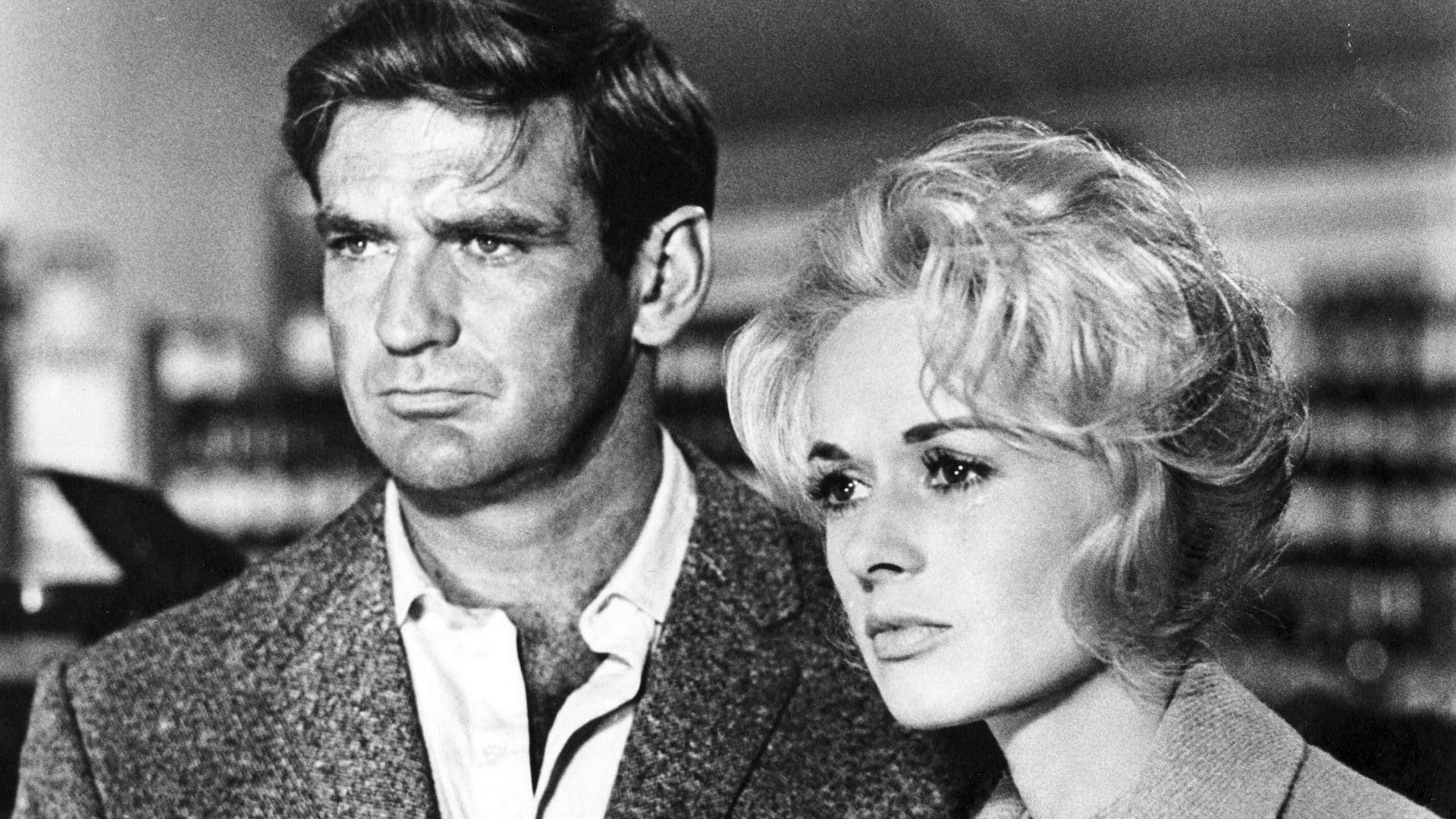 Alfred Hitchcock’s The Birds Is Getting New TV Remake Series News Breakdown: Story, Episodes, and What Comes Next TV breakdown cover image
