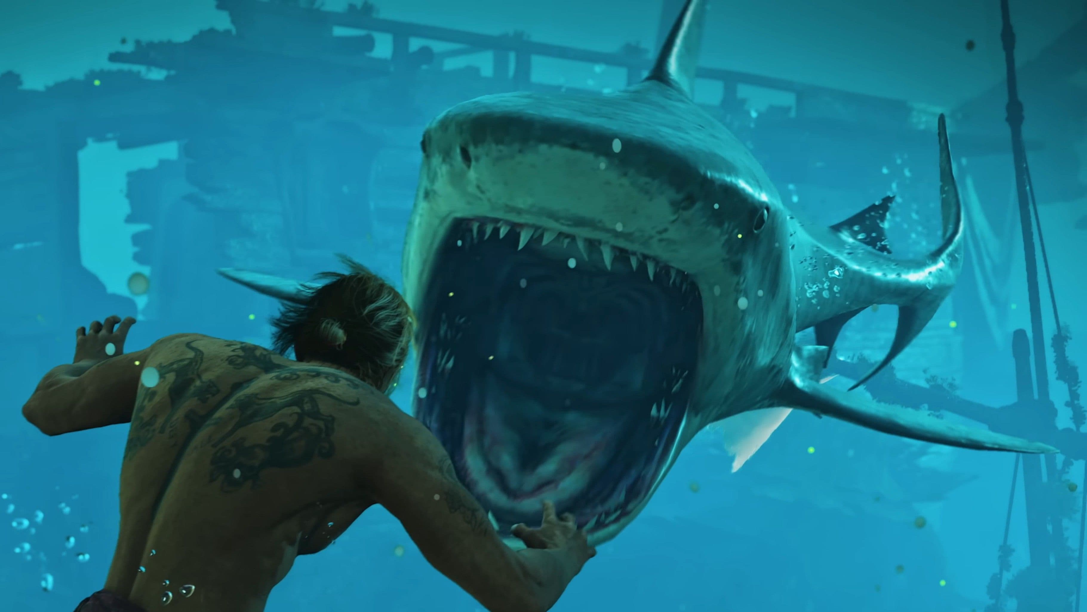 Assassin's Creed Black Flag Resynced: Where To Find The Lowest Point On The Map cover image
