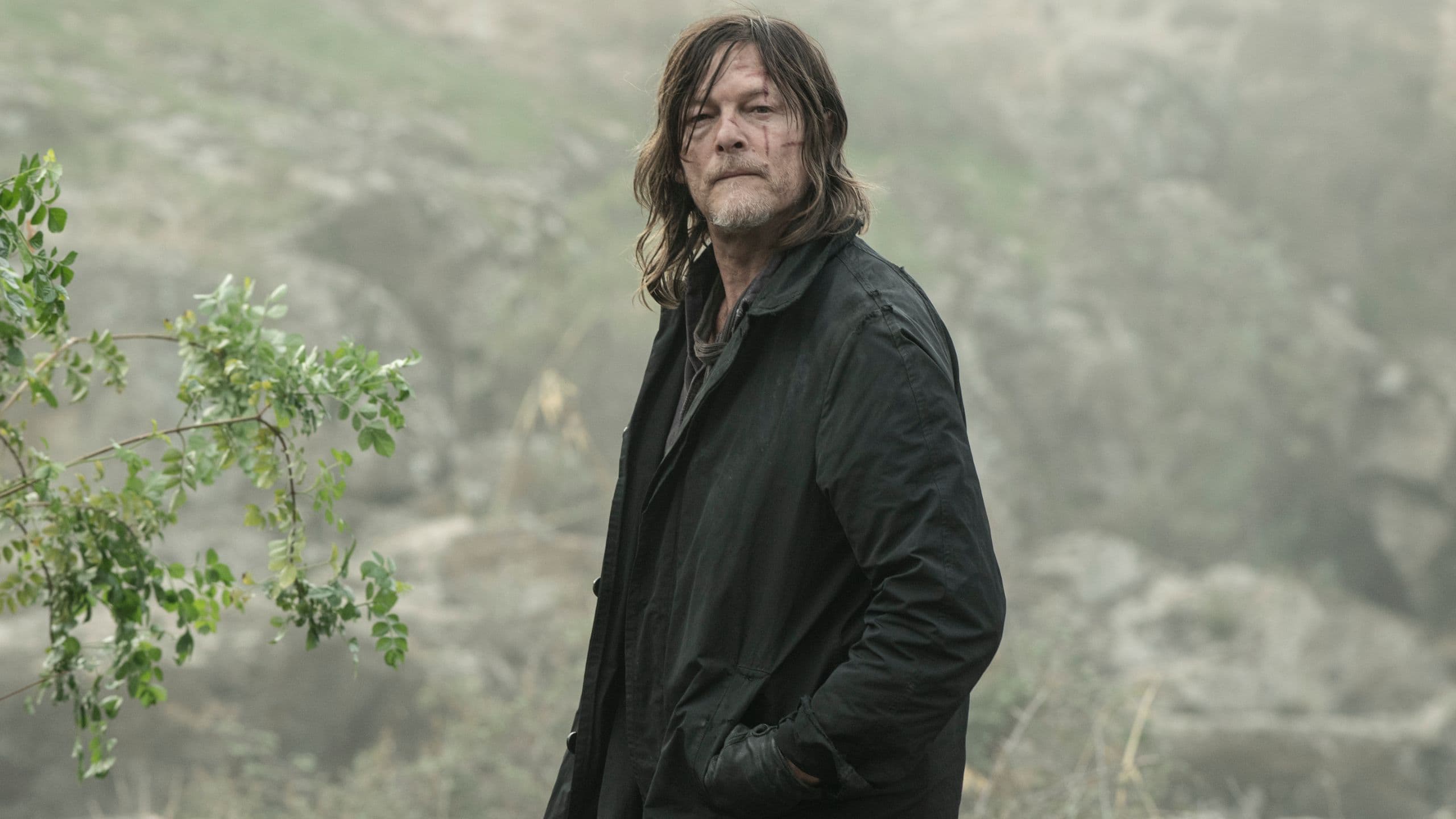 The Walking Dead Officially Replaces Norman Reedus' Daryl Dixon cover image