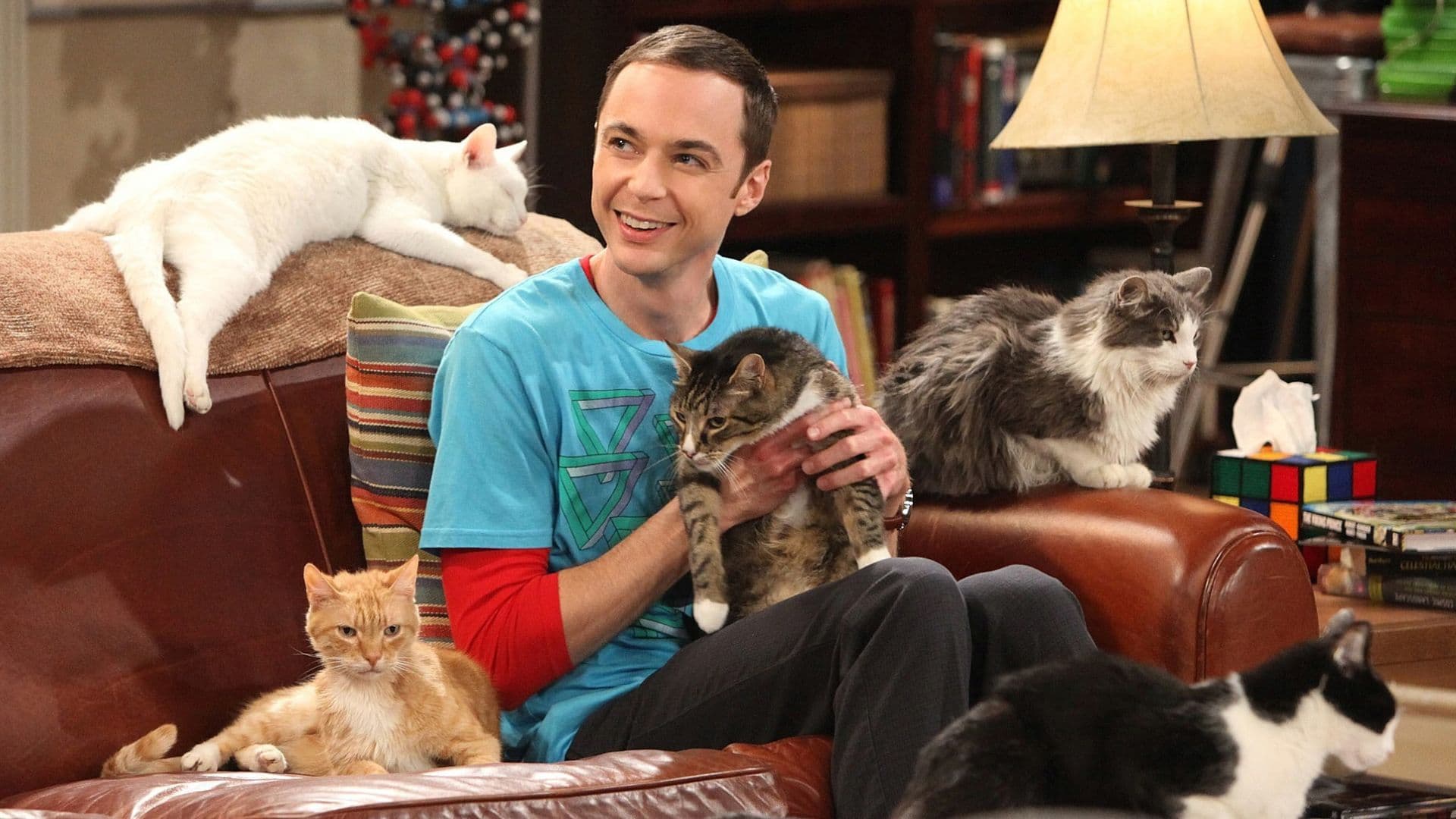 5 Big Bang Theory Spinoffs That Should Happen After Stuart Fails To Save The Universe cover image