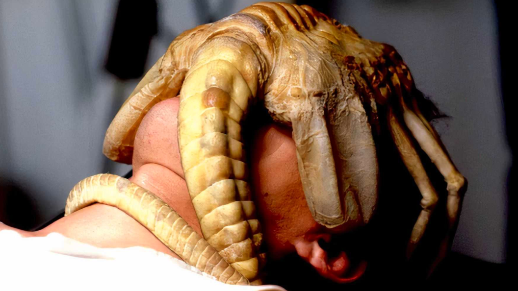 Alien and Aliens Now Streaming on Netflix movies cover image