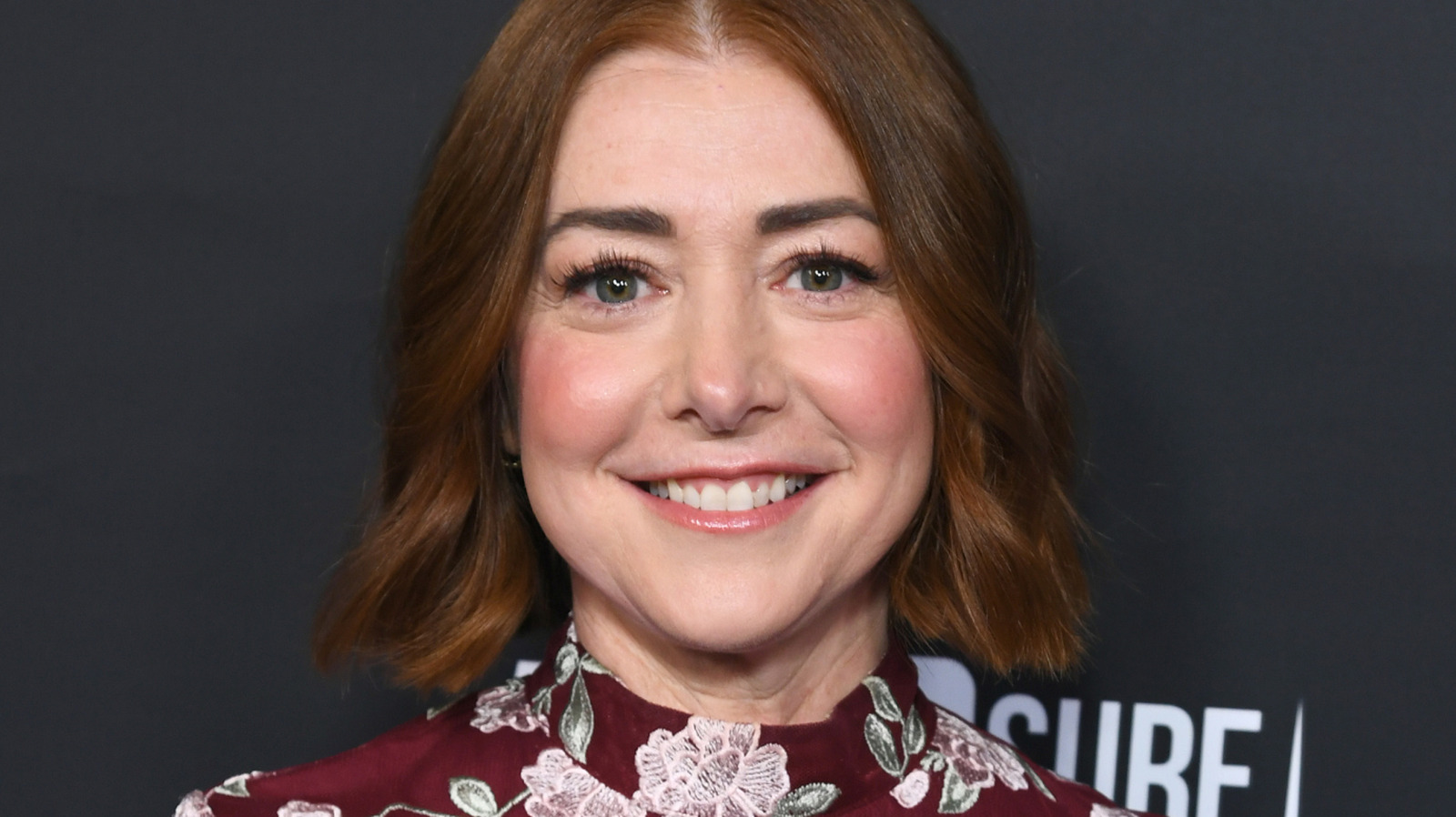 Alyson Hannigan's Early TV Role in 'Free Spirit' Revealed series cover image