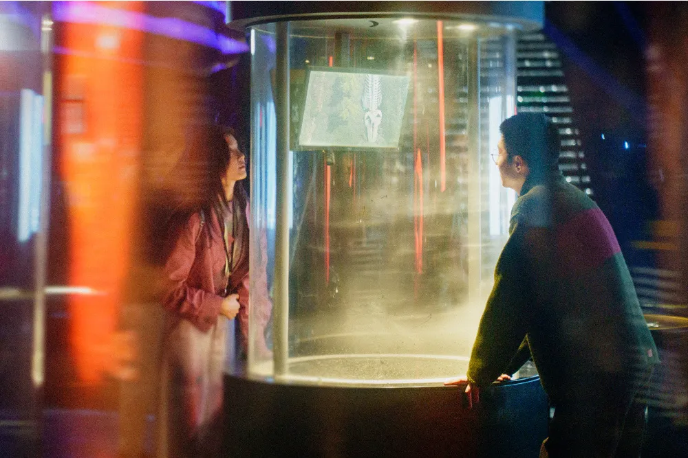 Dong Jie’s ‘Zoom In, Zoom Out’ Premieres at Venice Critics’ Week movies cover image