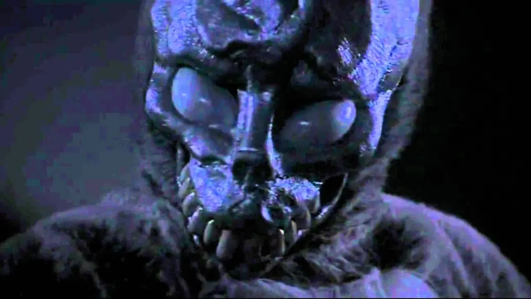 25th Anniversary of Donnie Darko: Fan Theories Resurface movies cover image