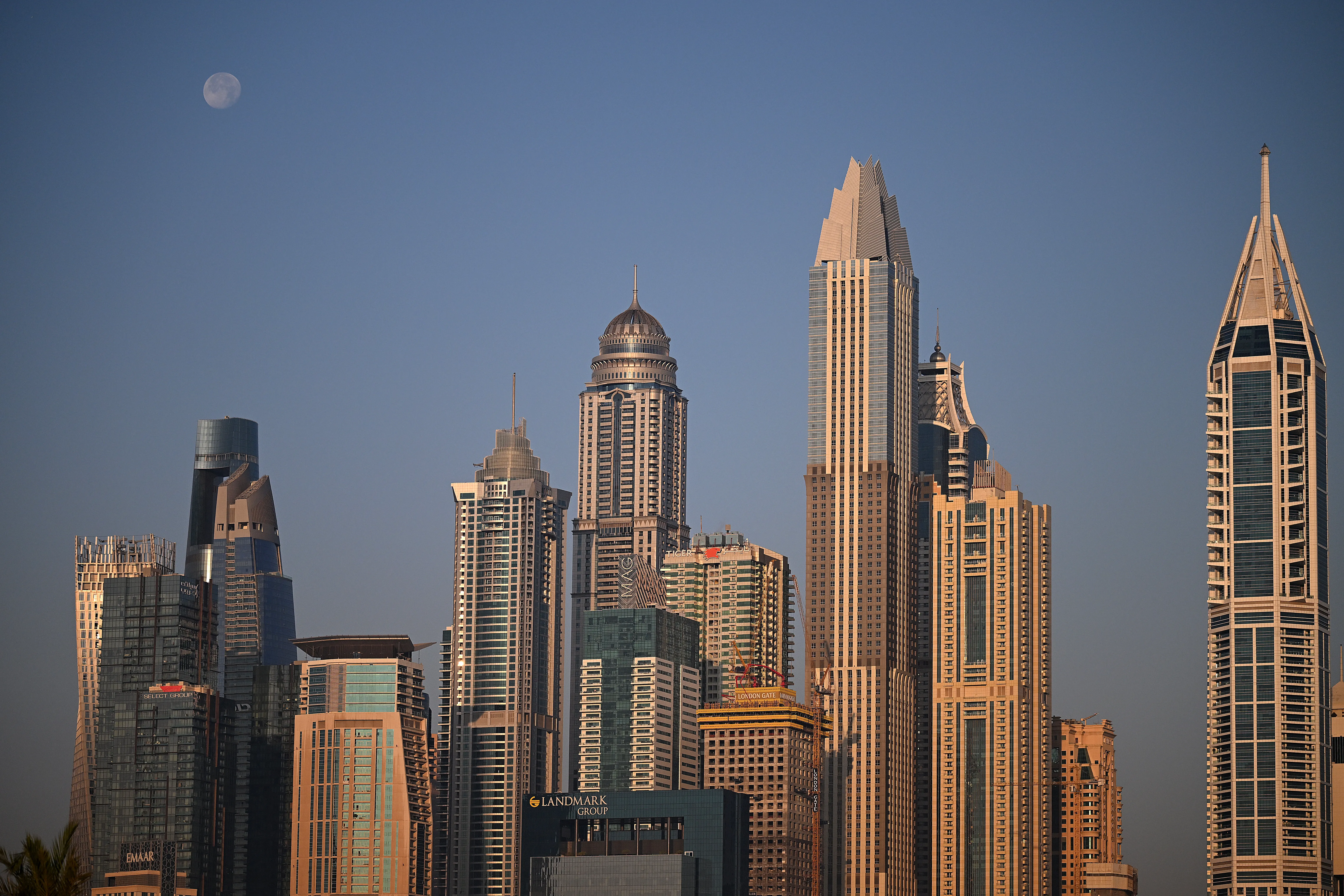 Dubai International Film Festival Returns in December 2027 movies cover image