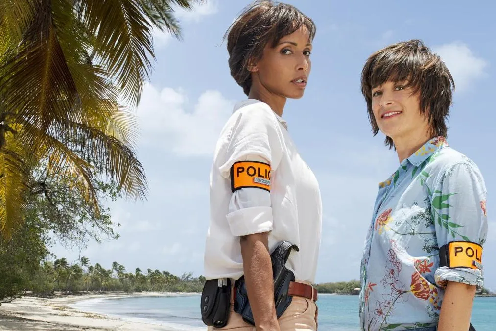 France TV Exports Plummet Amid Economic Challenges series cover image