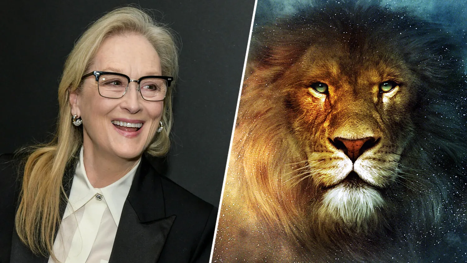 Greta Gerwig Chooses Meryl Streep as Voice of Aslan in ‘Narnia: The Magician’s Nephew’ news cover image