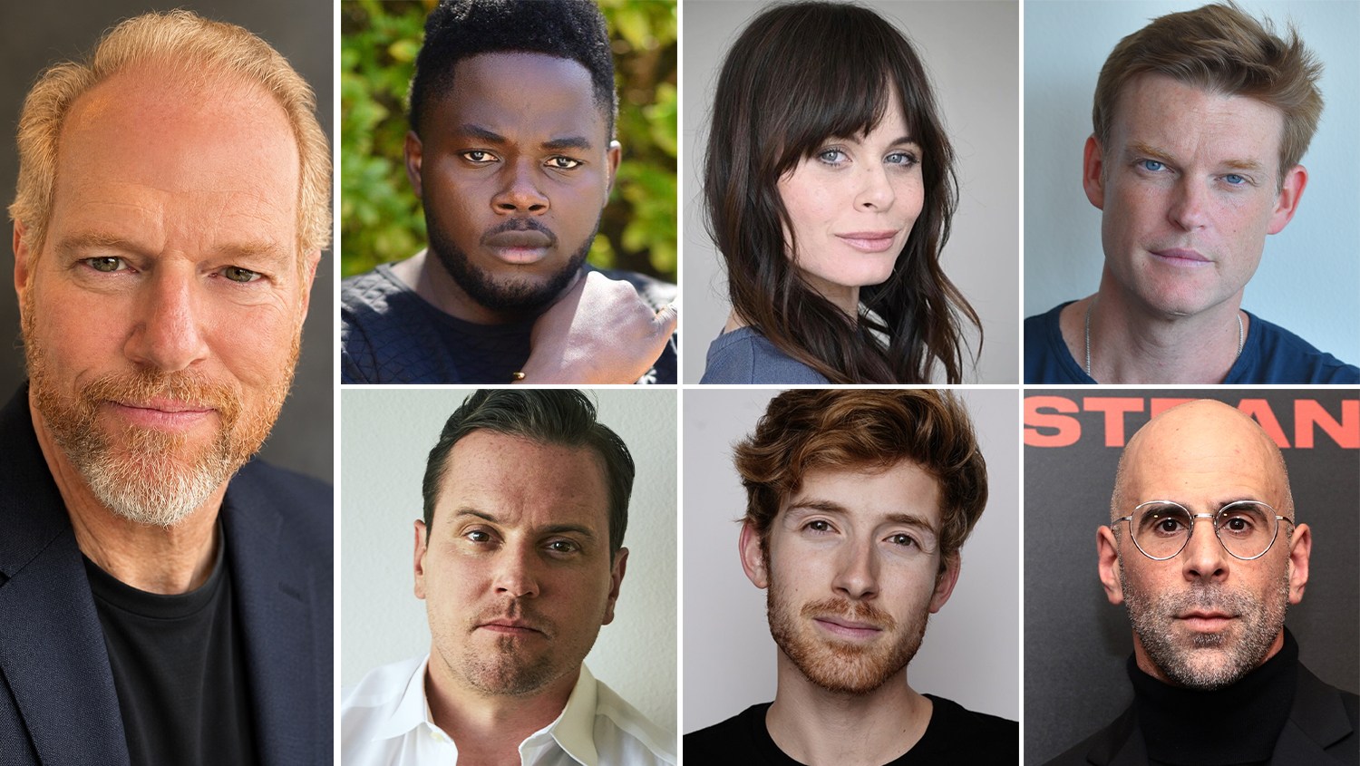 New cast members of Hulu's Prison Break