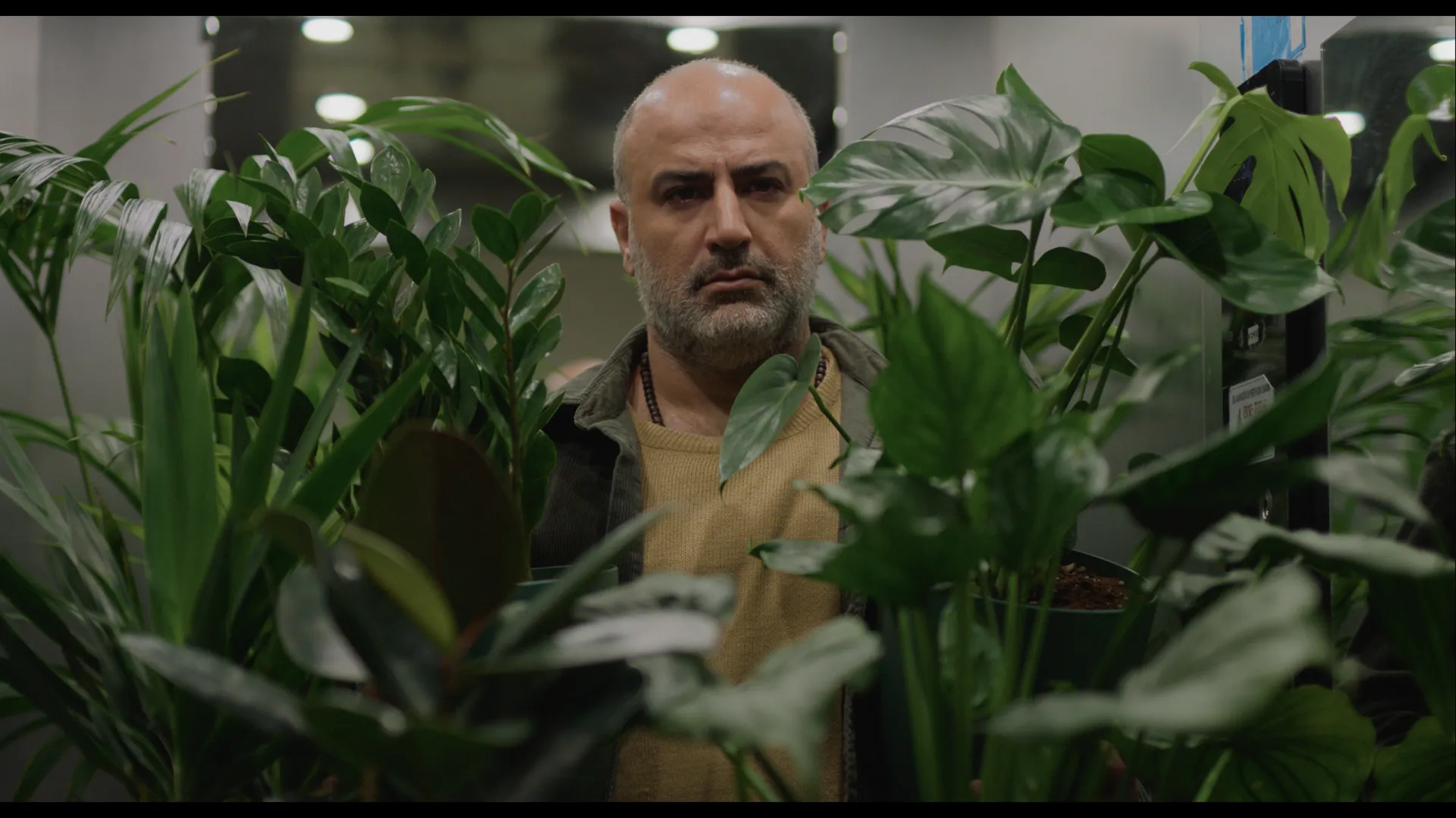 Venice Film Festival to Feature Iranian Films on War's Impact movies cover image
