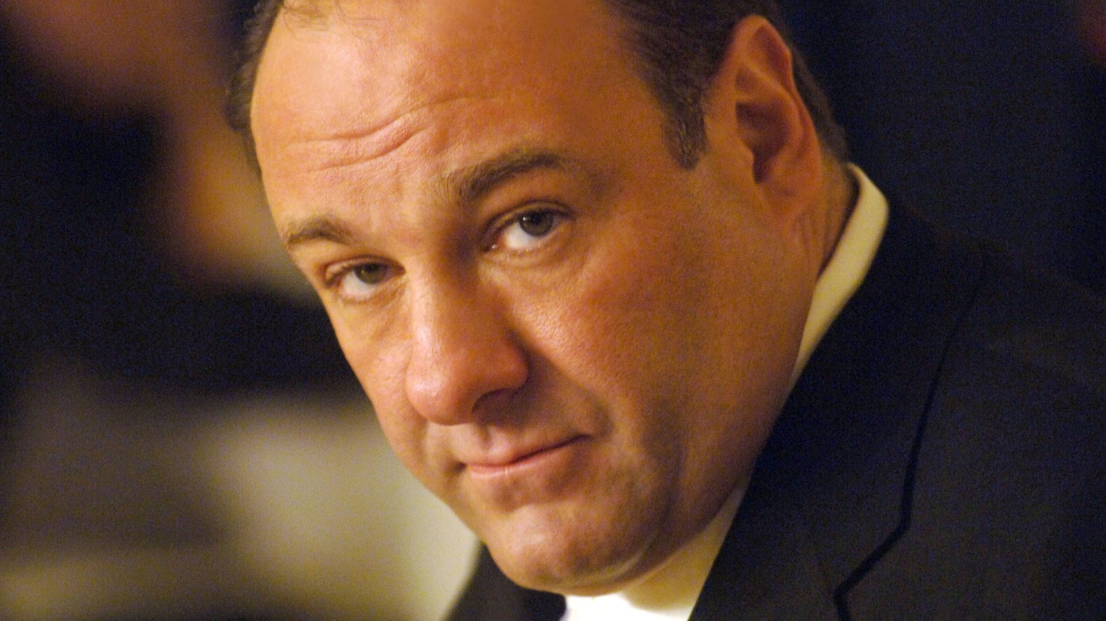 James Gandolfini's Doubts About HBO's Casting for The Sopranos series cover image