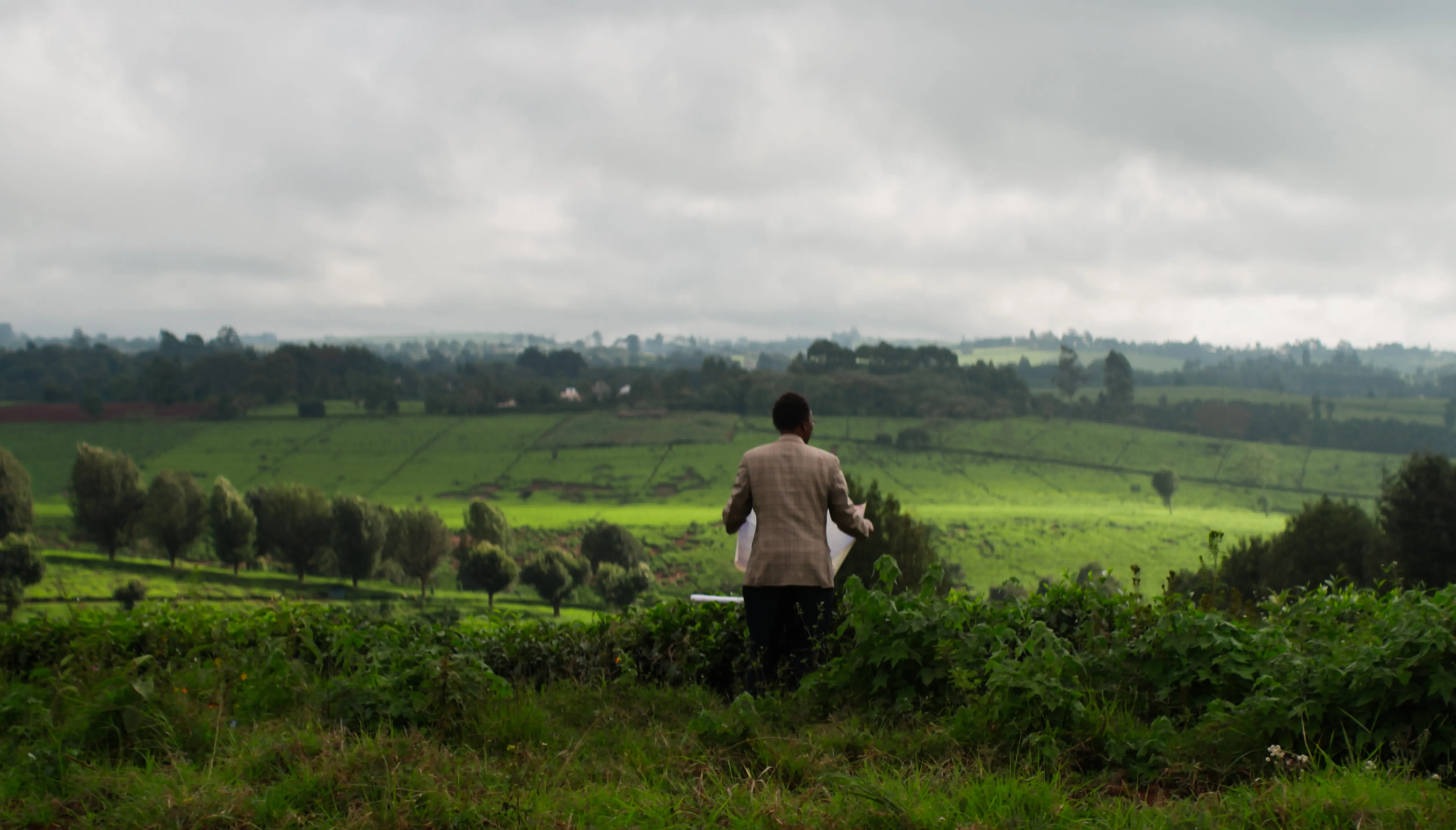 ‘Kikuyu Land’ Documentary Trailblazes Story of Land Reclamation news cover image