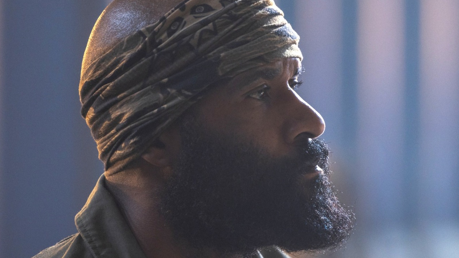 LaMonica Garrett’s Role as Tucker in Lioness Explained series cover image