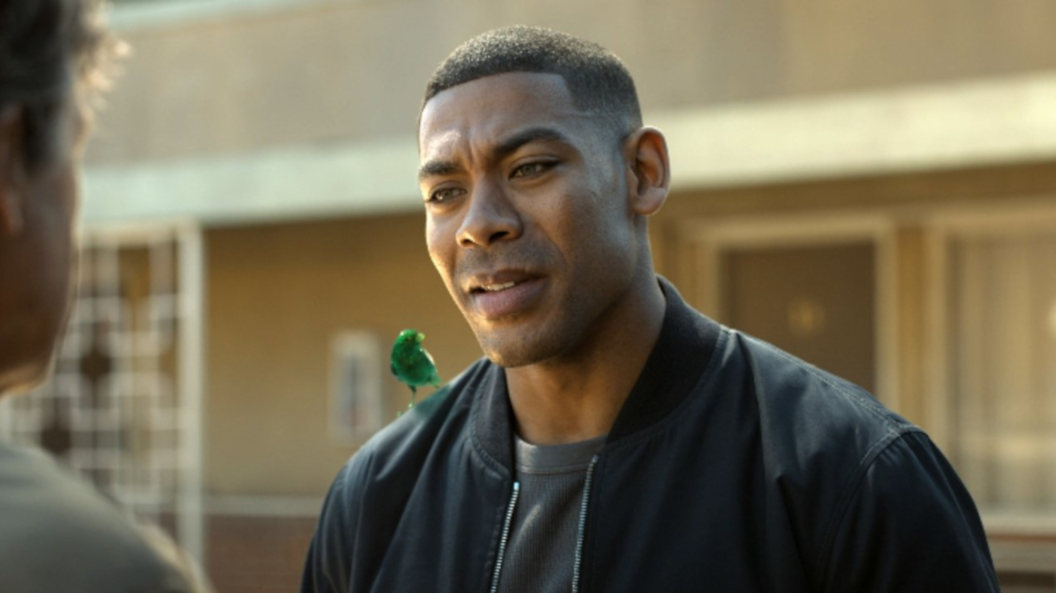 John Stewart from Lanterns with birds in the background