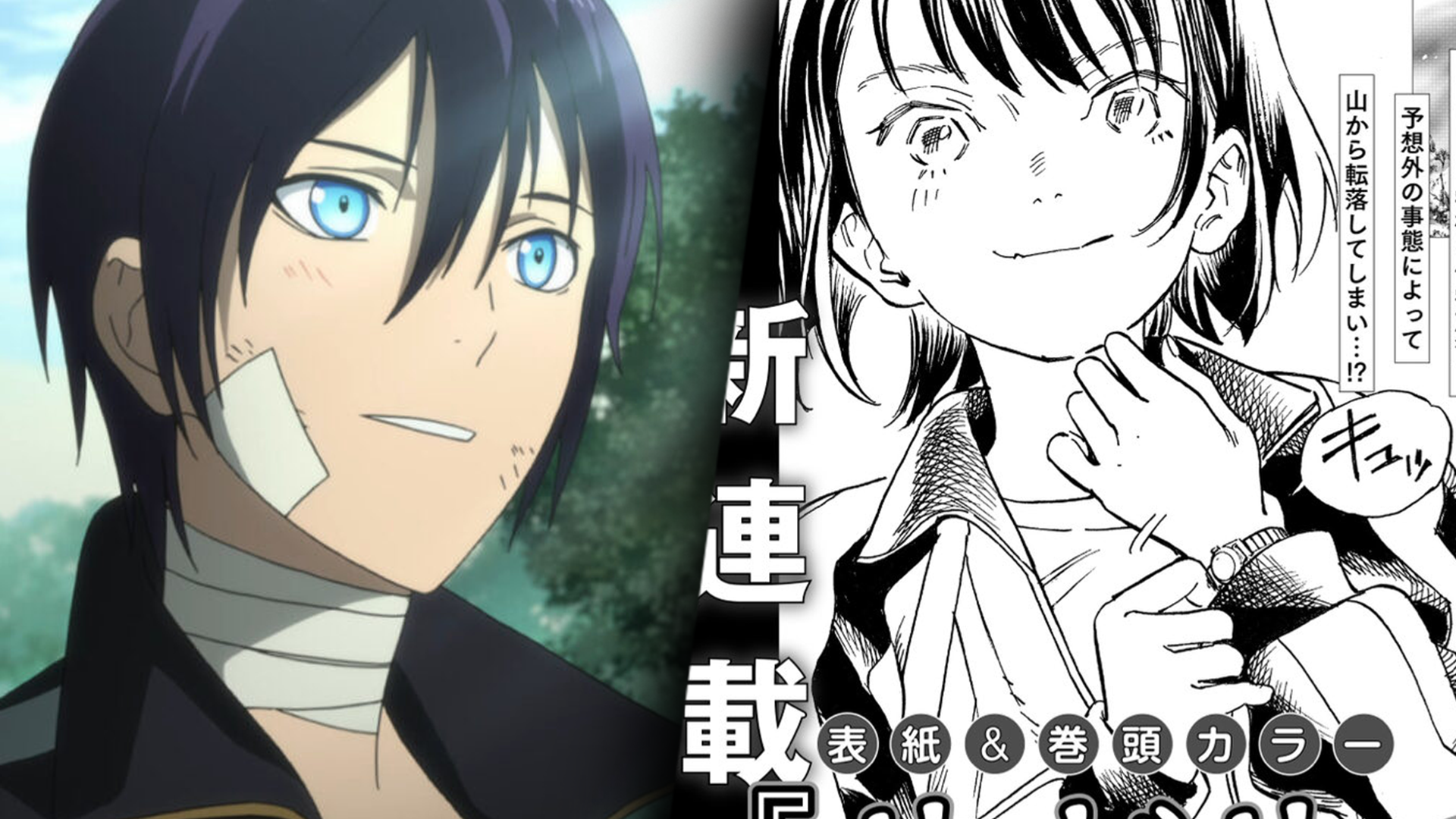 Noragami Creators Launch New Manga Series 'Yadoya no Oinu-sama' anime cover image