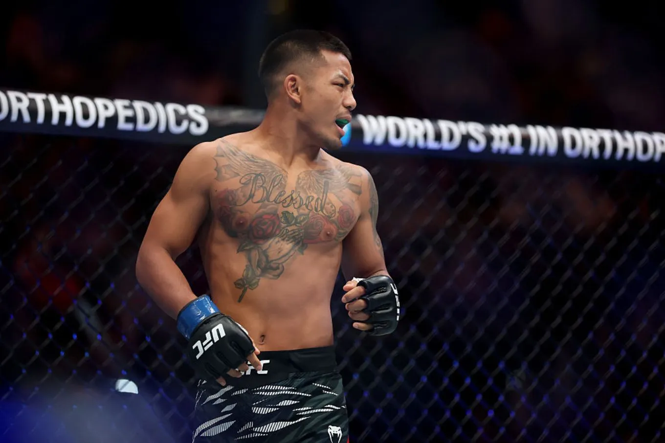 UFC 331: Joshua Van Defends Flyweight Title Against Alexandre Pantoja news cover image